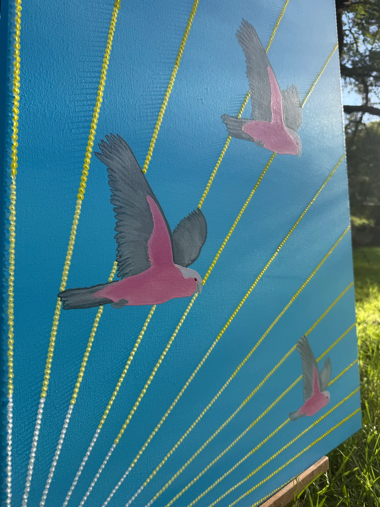Galahs
